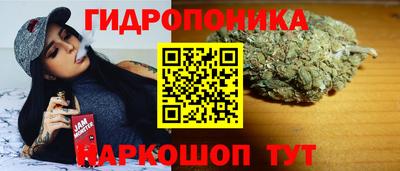 прущая мука Сланцы