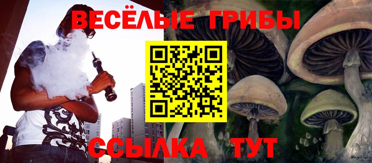 Галлюциногенные грибы Psilocybine cubensis  Вход с VPN  Нефтеюганск 